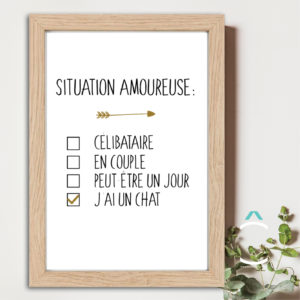 Cadre – Situation amoureuse: j’ai un chat