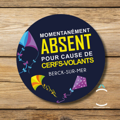 Magnet – Momentanément absent pour cause de cerfs-volants