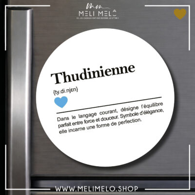 Magnet – Thudinienne: définition